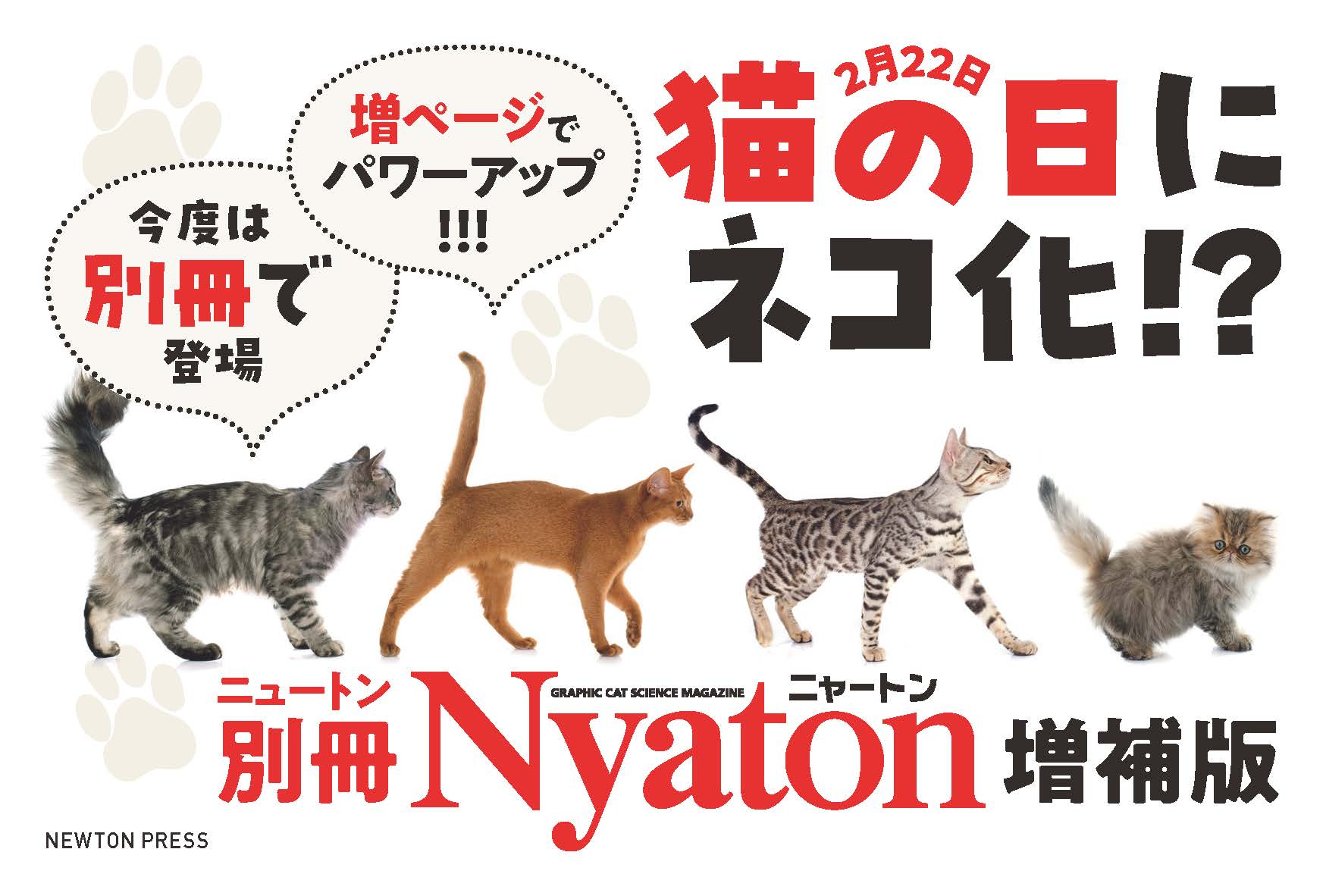 別冊『Nyaton』ポスター
