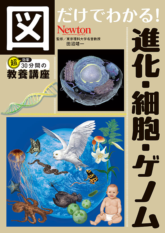 図だけでわかる！
