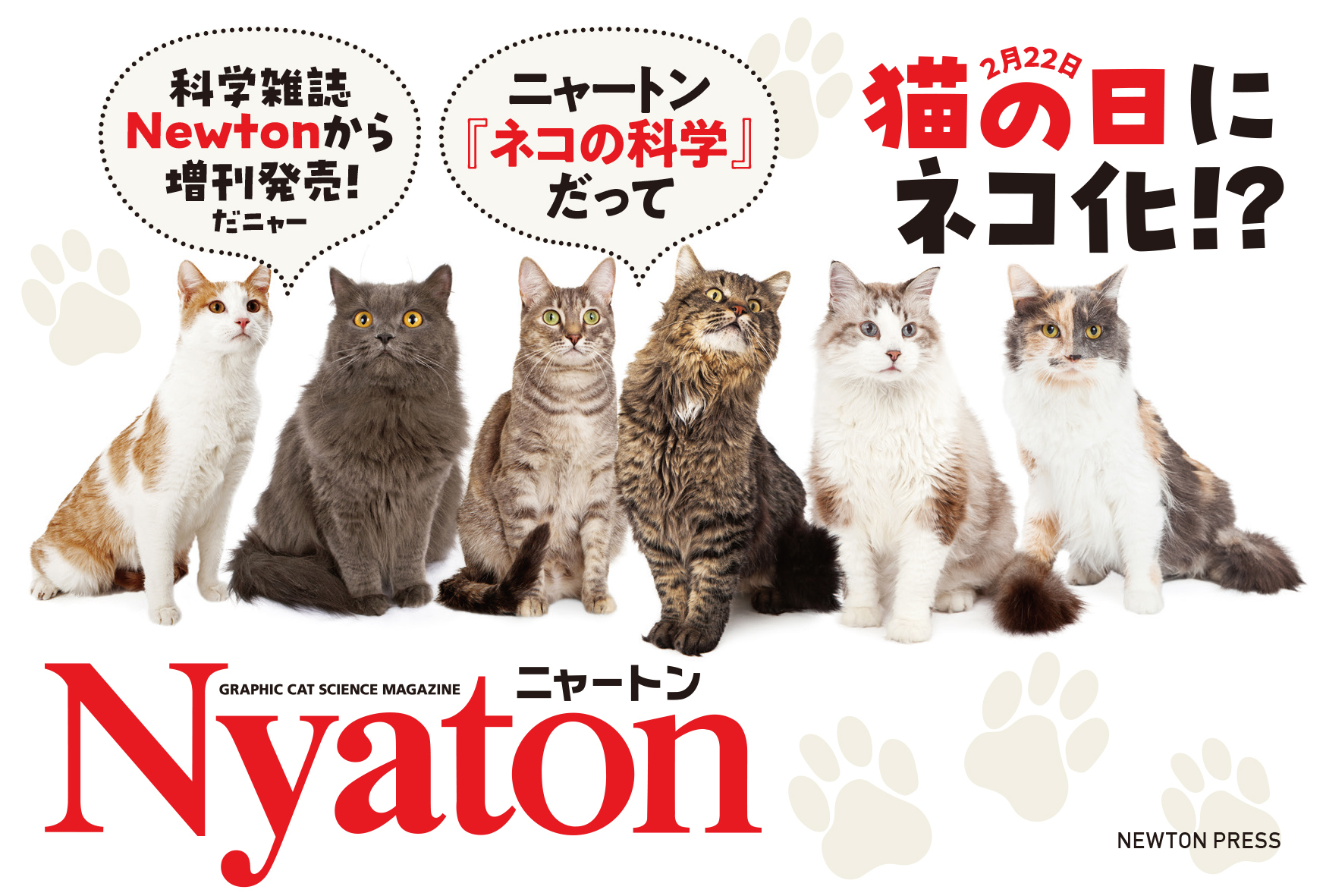 Newton増刊『Nyaton』フェアポスター