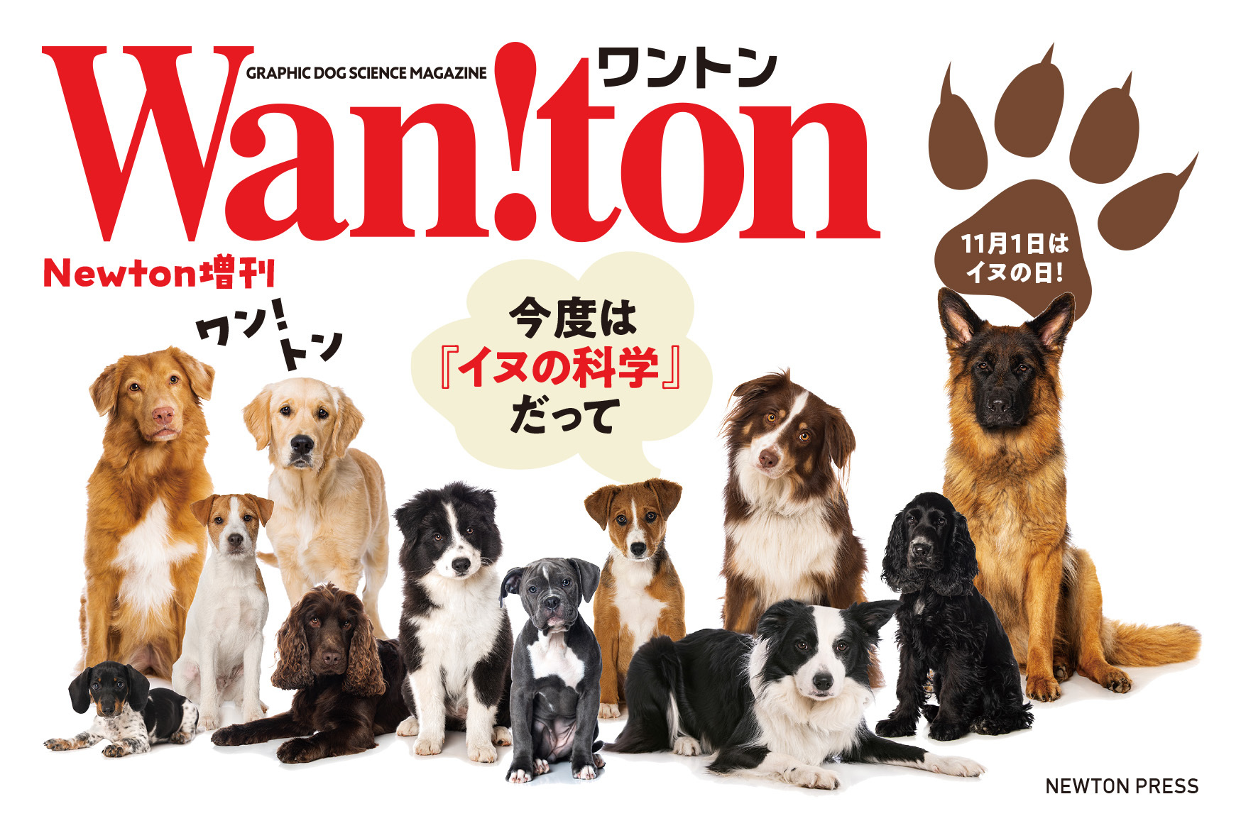 Newton増刊『Wan!ton』フェアポスター