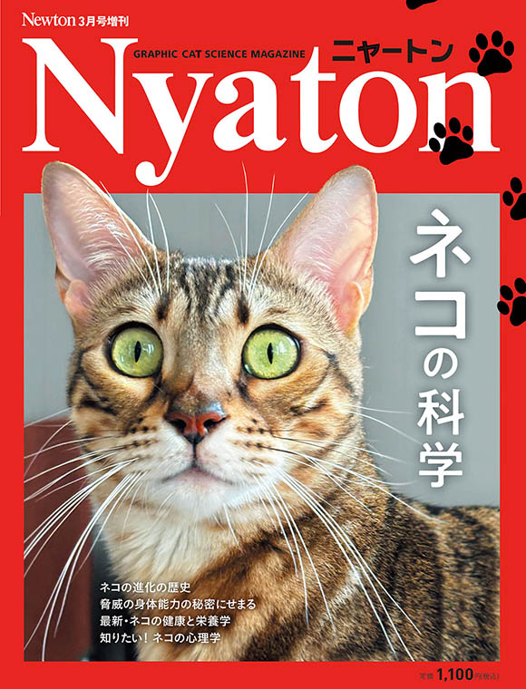 Newton増刊 Nyaton ネコの科学
