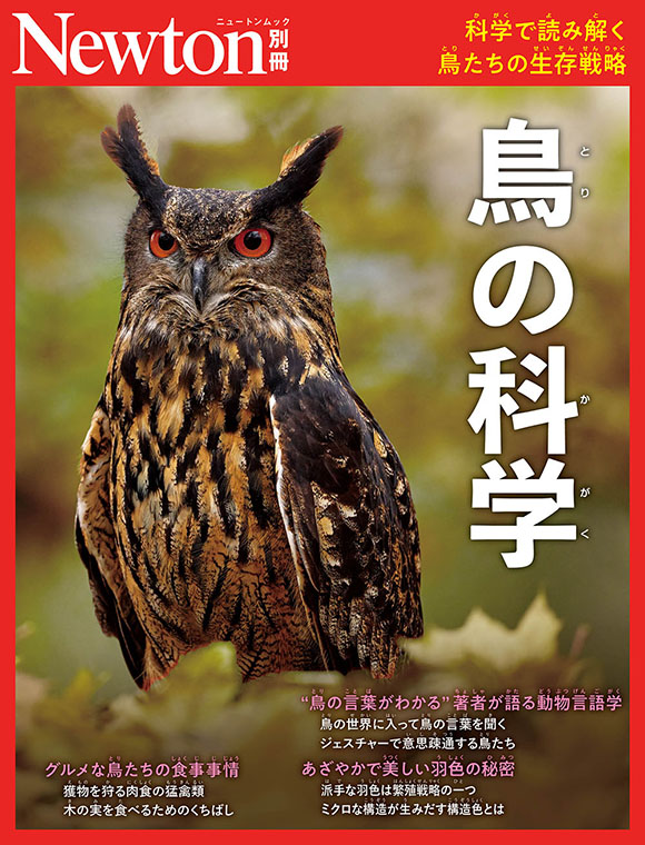別冊鳥の科学
