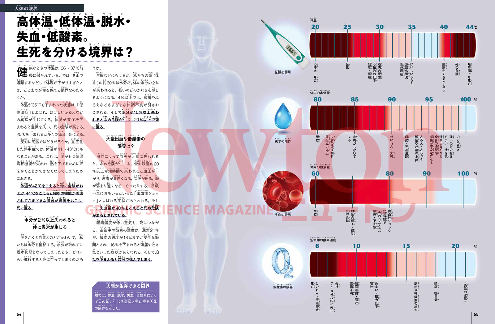 newtonB_202412_No2-3.jpg
