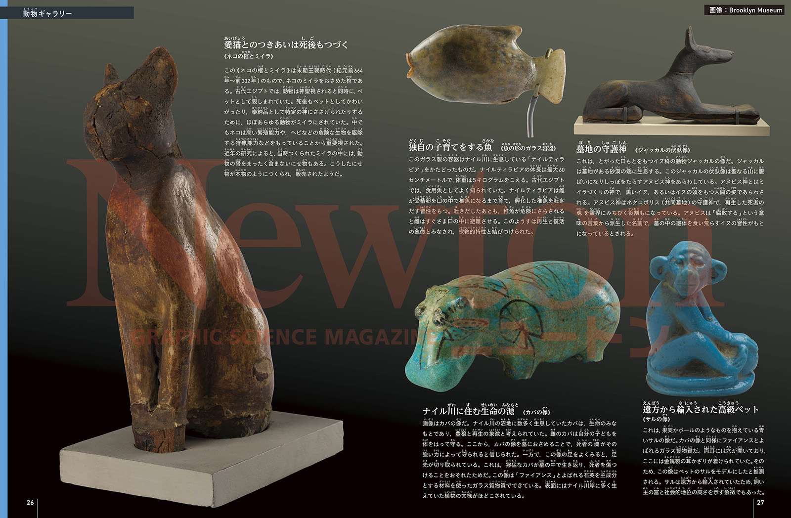 newtonB_202505_No1-1.jpg
