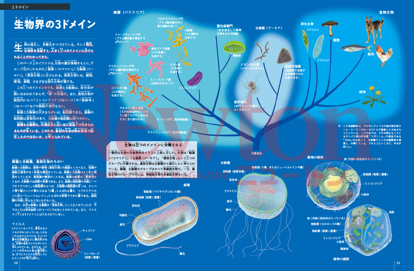 newtonB_202507_No2-1.jpg
