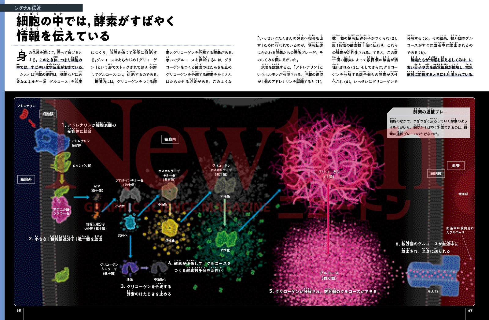 newtonB_202507_No2-2.jpg
