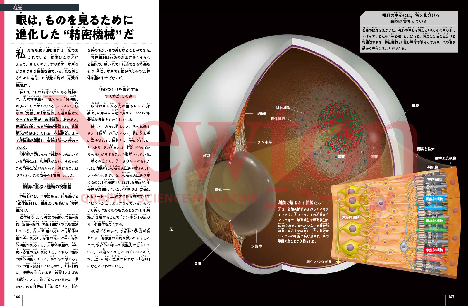 newtonB_202507_No2-5.jpg
