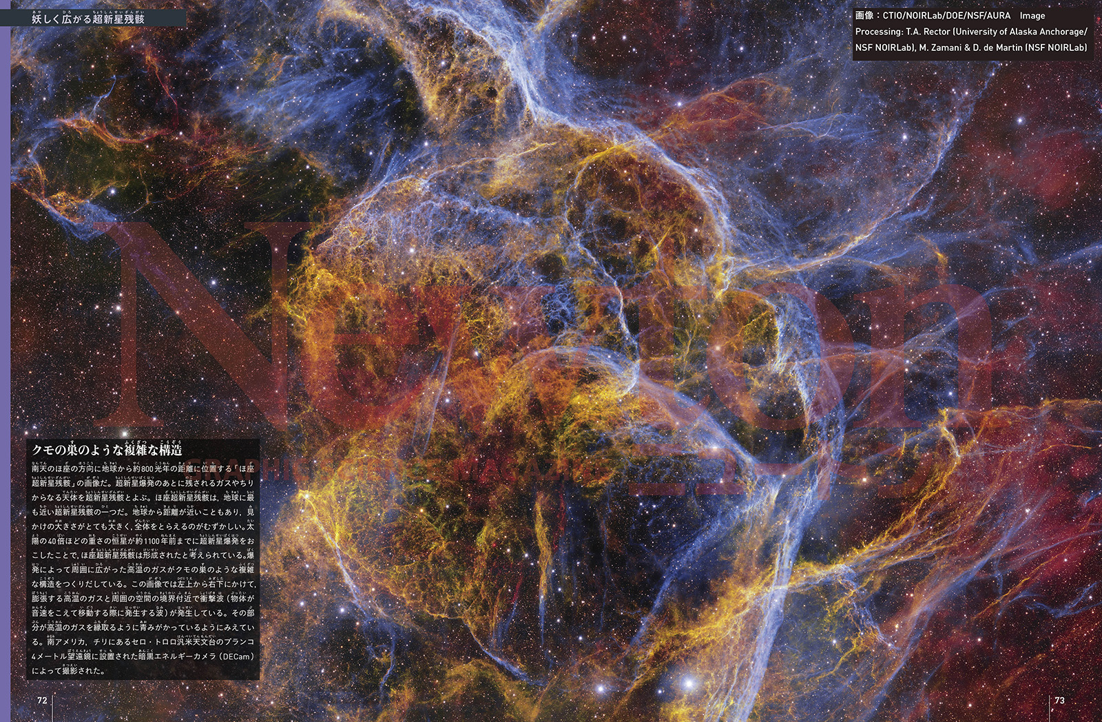 newtonB_202508_No1-3.jpg
