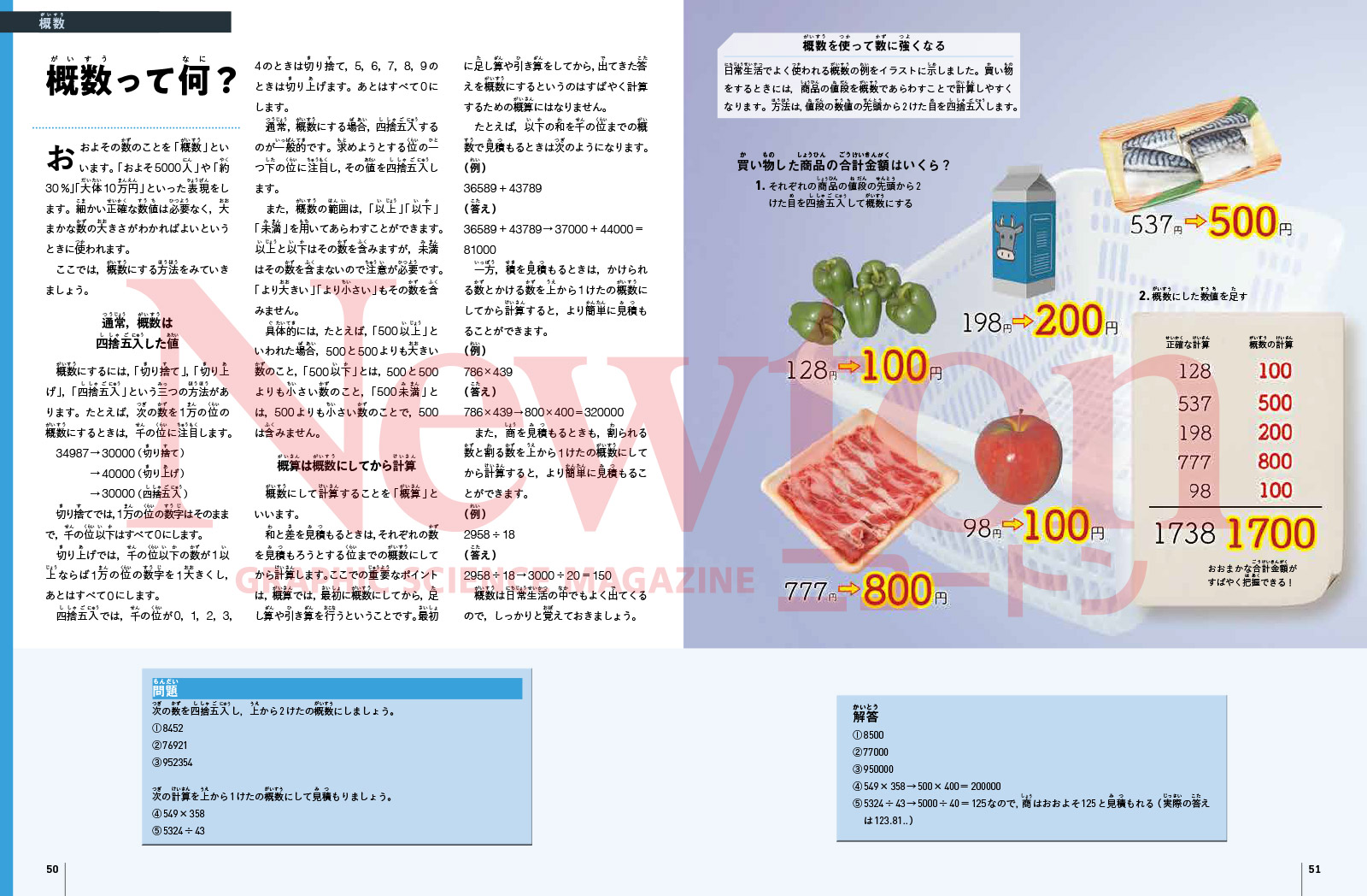 newtonB_202508_No2-1.jpg
