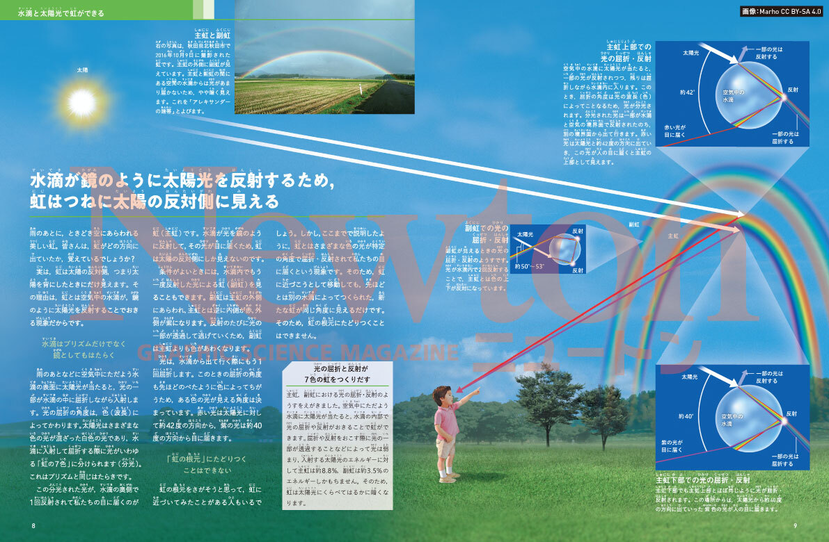 newtonB_202604_No2-1.jpg
