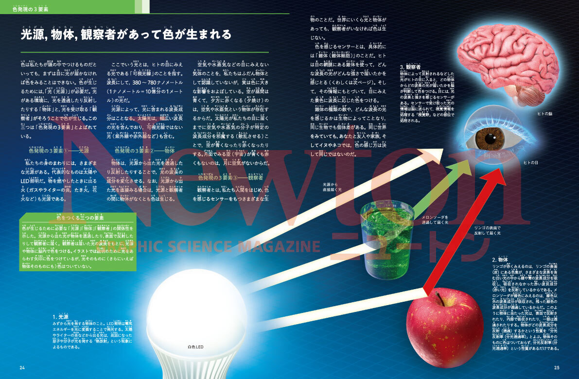 newtonB_202606_No1-2.jpg
