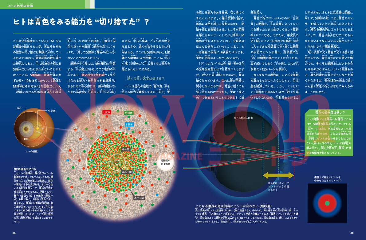 newtonB_202606_No1-3.jpg
