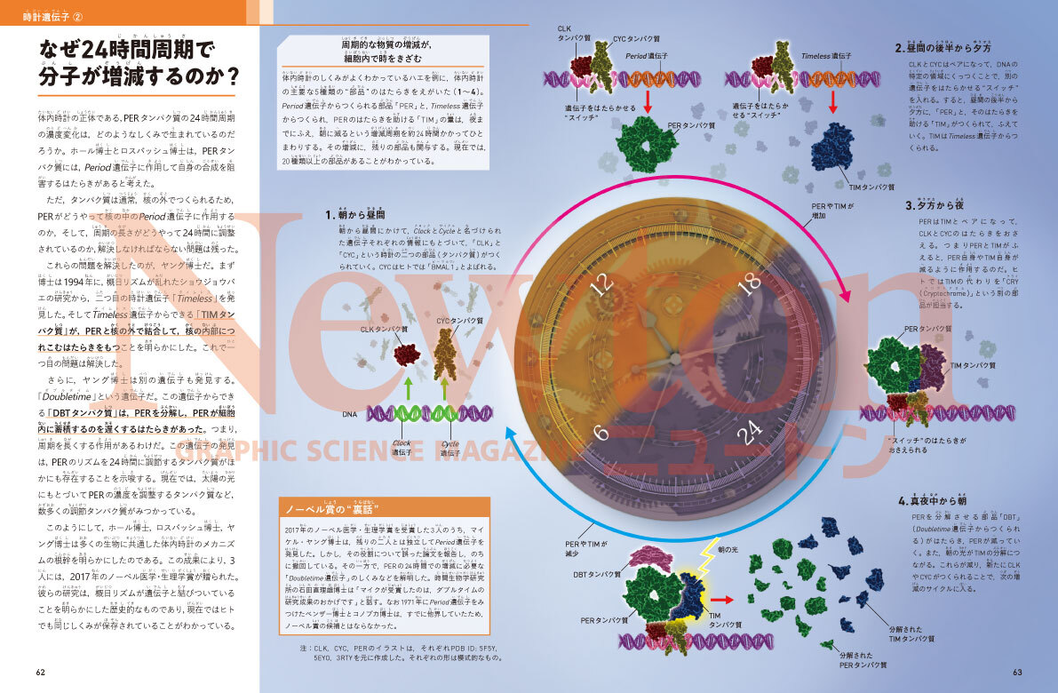 newtonB_202608_No3-3.jpg
