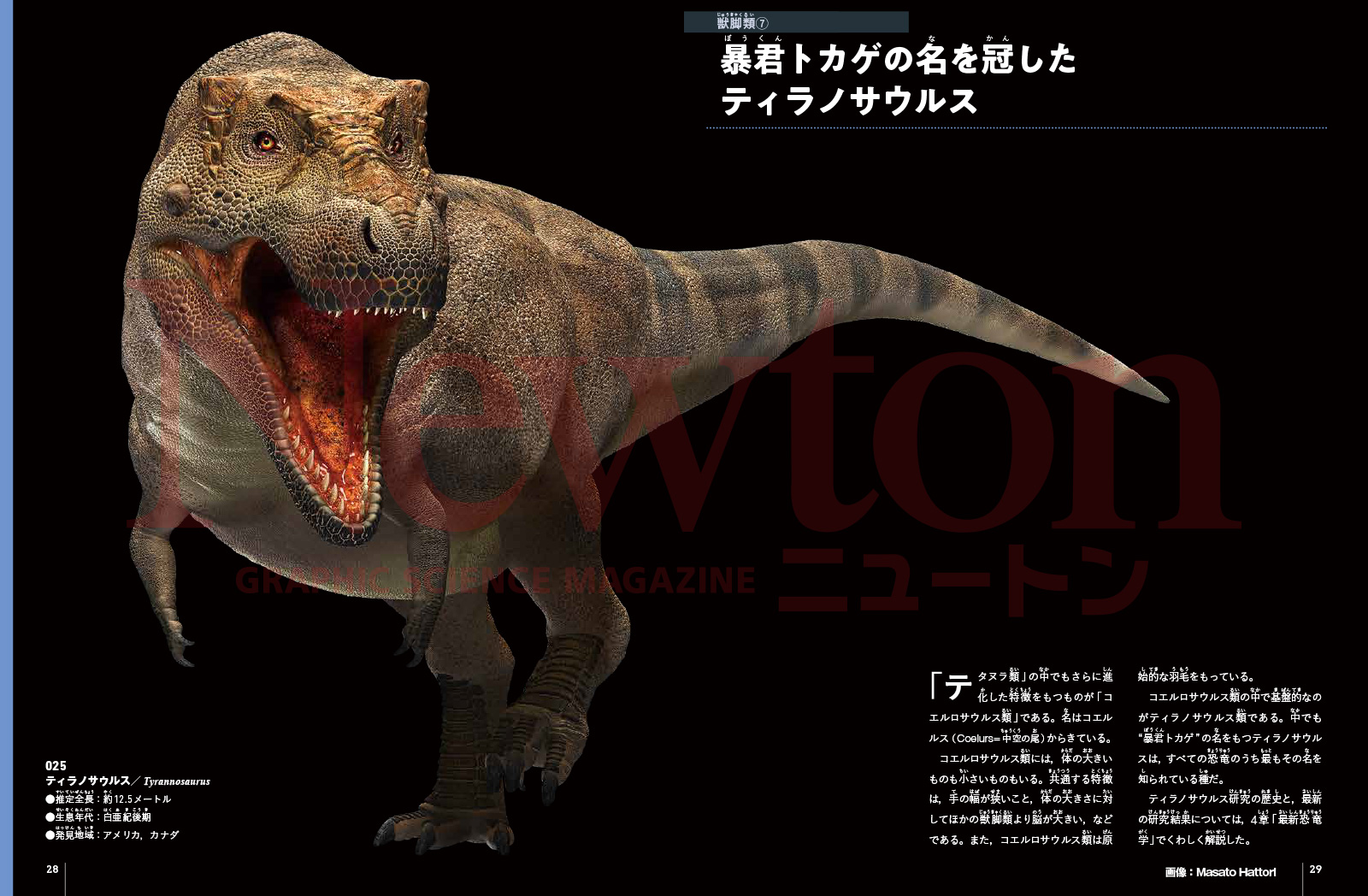 newtonB_Dinosaur_202405_No2-1.jpg
