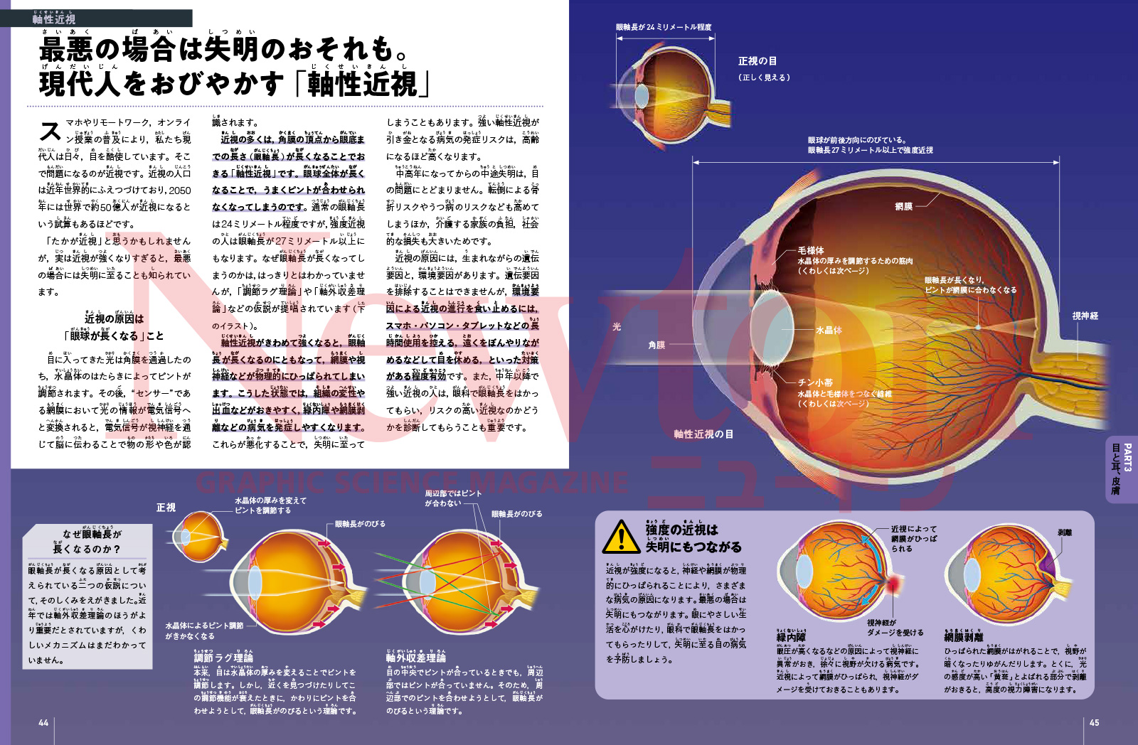 newtonB_HumanBody_202402_No2_Part1-2.jpg
