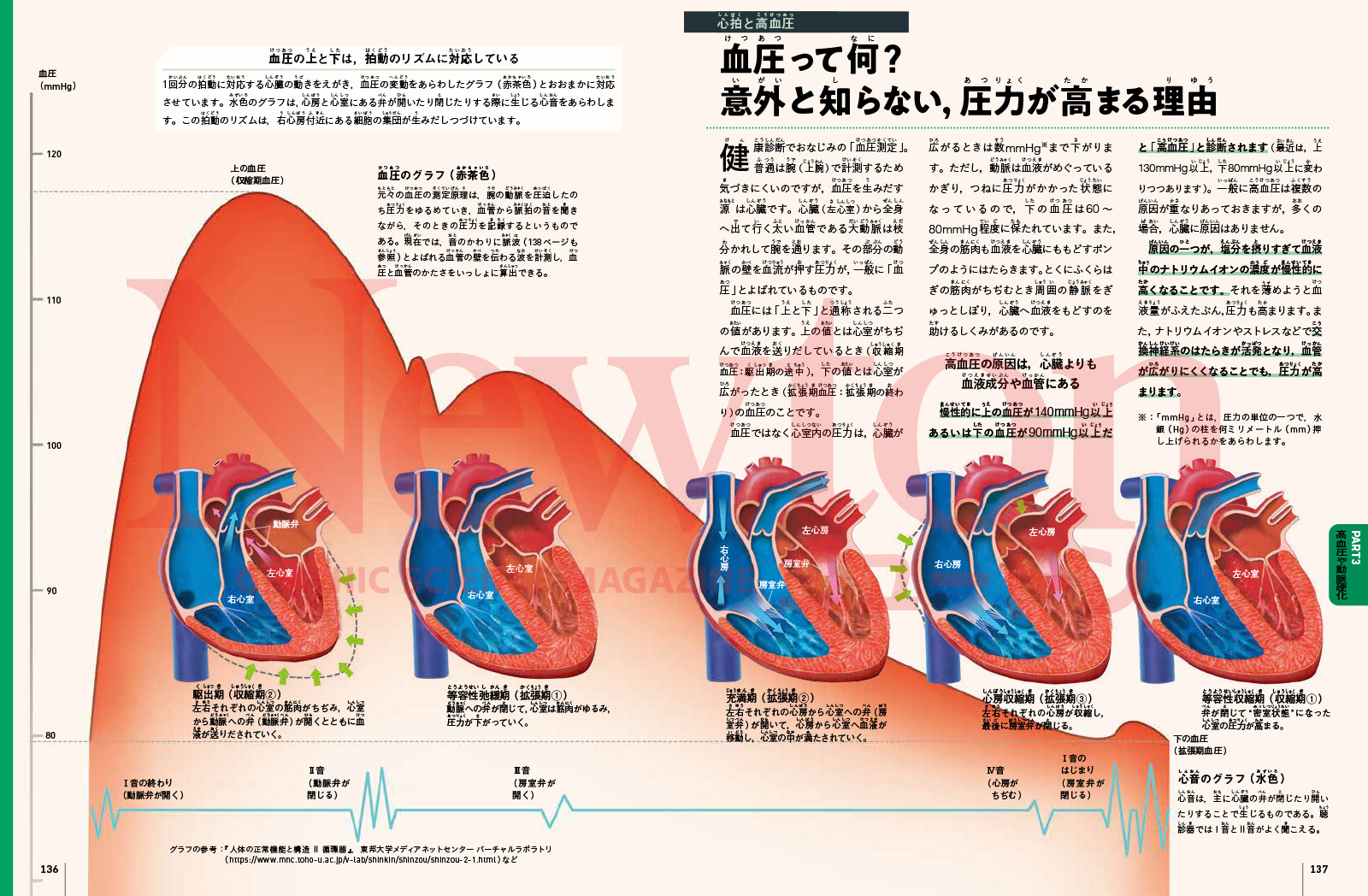 newtonB_HumanBody_202402_No2_Part2.jpg
