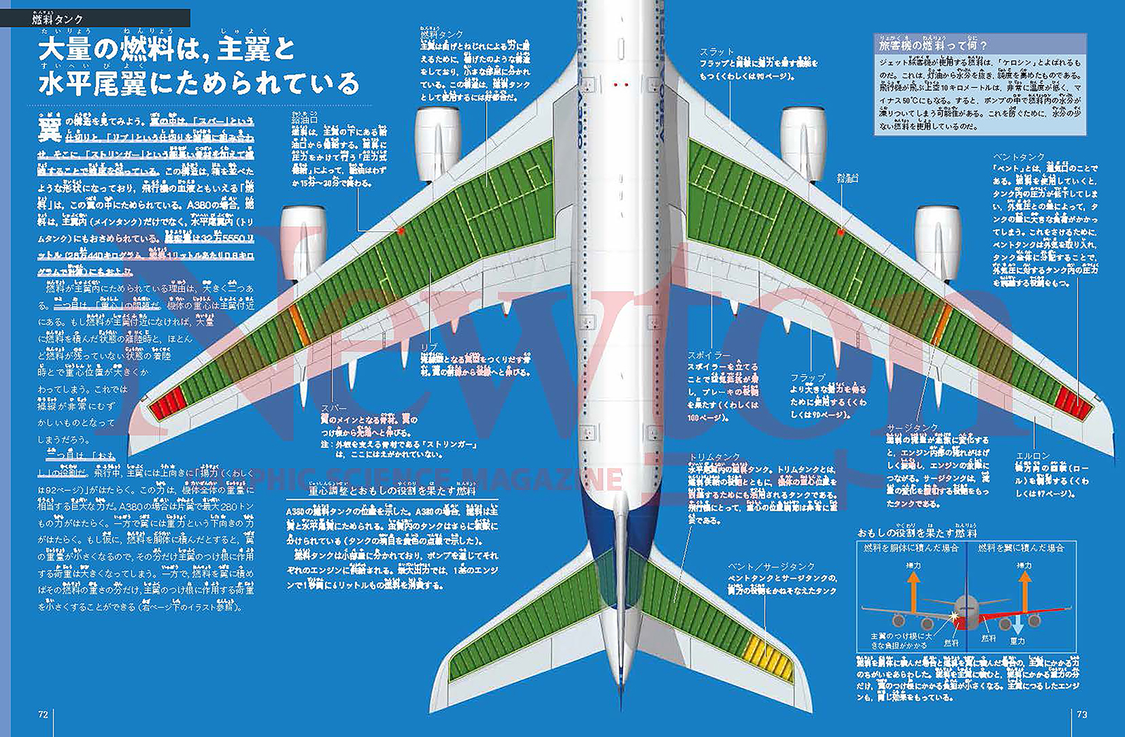 newtonB_Plane_202404_No3-2.jpg
